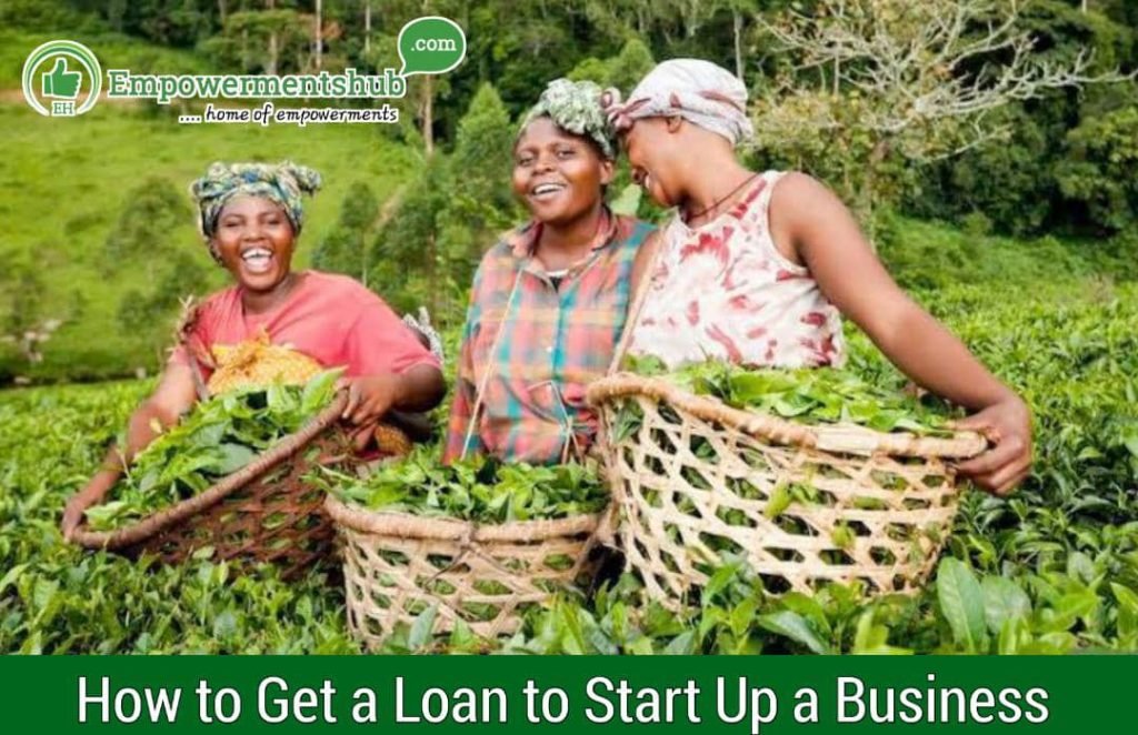 How to Get a Loan to Start up a Business in 2023