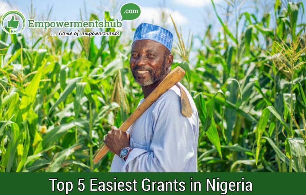 What are the Easiest Grants in Nigeria