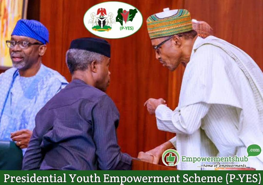 How to Check Your P-Yes Application Status Online www.p-yes.gov.ng