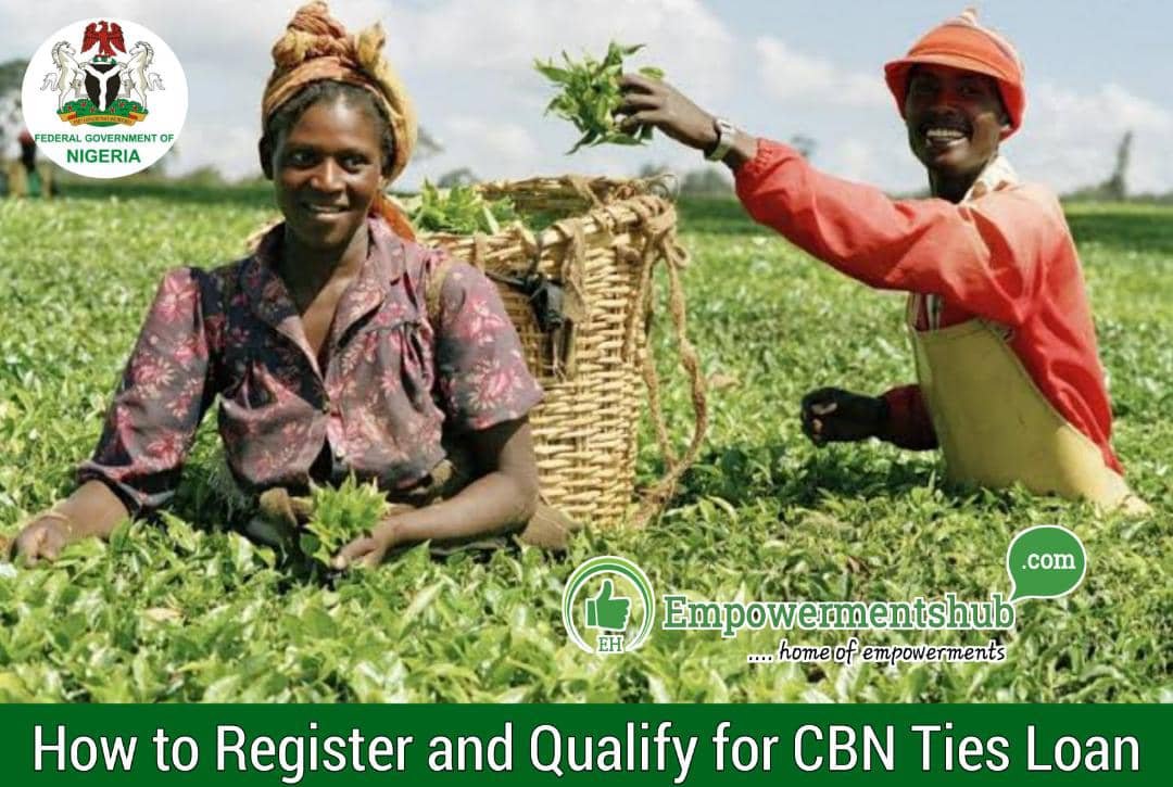 How to Register and Qualify for CBN Ties Loan Grant Easily