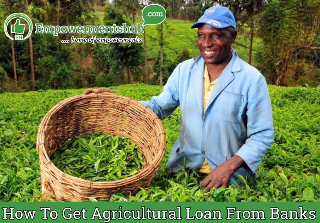 How to Get Agricultural Loan from Banks