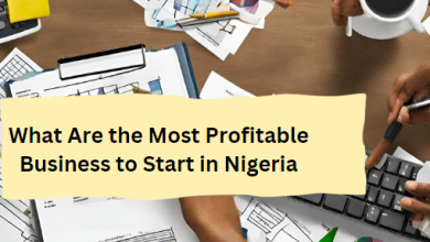 What Are the Most Profitable Business to Start in Nigeria and How-to Begin?