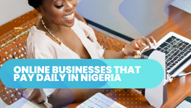 Online Businesses that Pay Daily in Nigeria