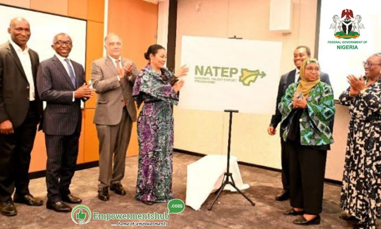 FG Launches NATEP Youth Employment Programme