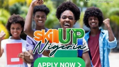 How to Apply for Skill Up Nigeria Program