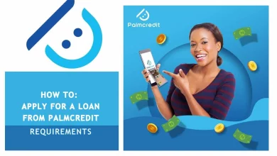 How to Apply for Palmcredit Loan