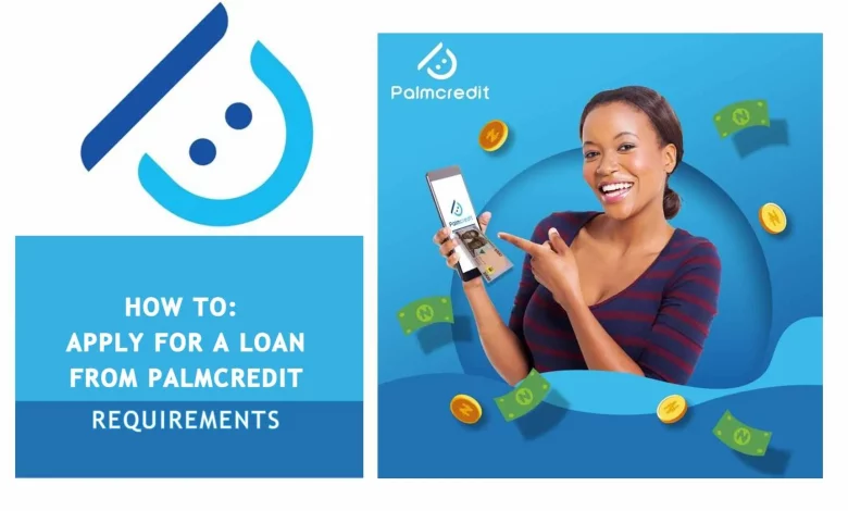 How to Apply for Palmcredit Loan